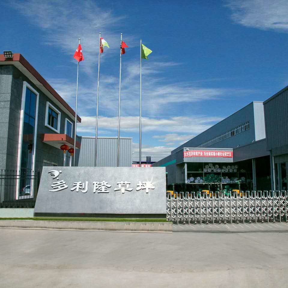 Porcellana Dorelom artificial grass group co,ltd. Profilo Aziendale