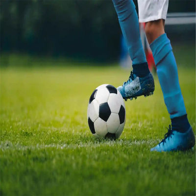PE Mini campo da calcio verde Campo da calcio in erba artificiale per pavimenti di campi da calcio