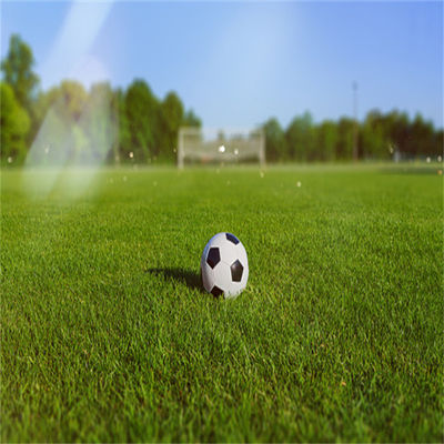 Terreno naturale non riempito da 50 mm e 60 mm per sport all'aperto