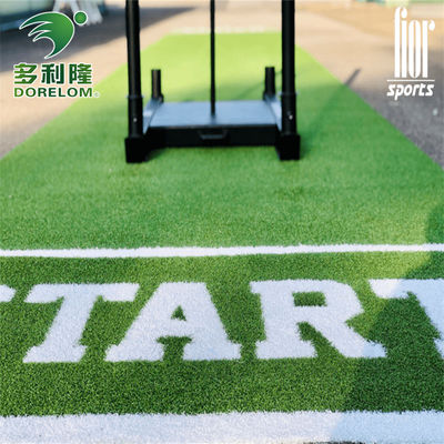 Giardino Sport Gym Mat con Dorelom Logo Sled Track personalizzato erba artificiale