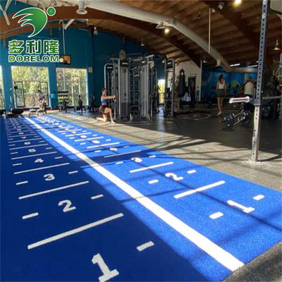 Giardino Sport Gym Mat con Dorelom Logo Sled Track personalizzato erba artificiale