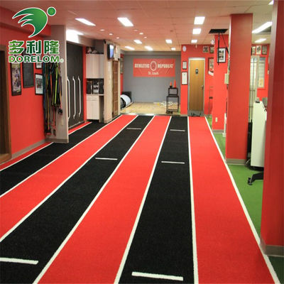 Giardino Sport Gym Mat con Dorelom Logo Sled Track personalizzato erba artificiale