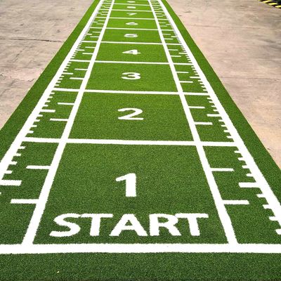 CE ISO9001 ISO14001 Certificato Dorelom Training Sport Turf Mat per pavimenti fitness