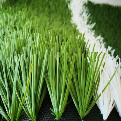 20 punti/m Tasso di punti 55 mm Terreno artificiale per campi da calcio Erba sintetica