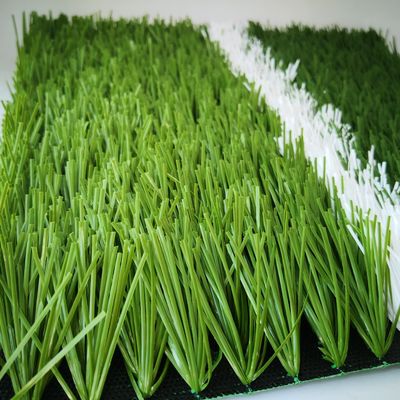 20 punti/m Tasso di punti 55 mm Terreno artificiale per campi da calcio Erba sintetica