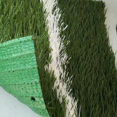 20 punti/m Tasso di punti 55 mm Terreno artificiale per campi da calcio Erba sintetica