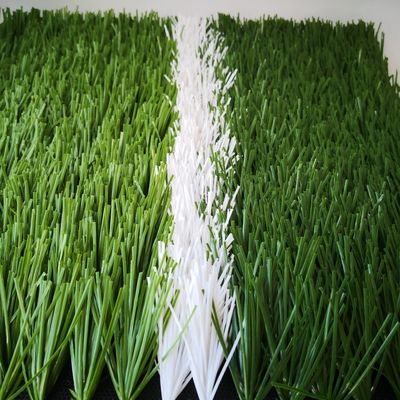 20 punti/m Tasso di punti 55 mm Terreno artificiale per campi da calcio Erba sintetica