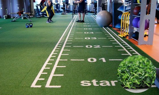 Alta densità 63000 punti/m2 Erba personalizzata per palestra per sport e allenamento in slitta