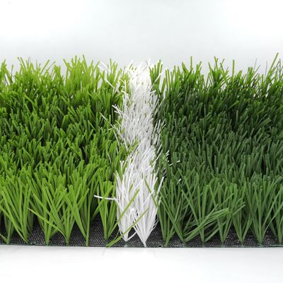 Campo da calcio di forma W Bicolore Resistente ai raggi UV Monofilamento PE erba artificiale