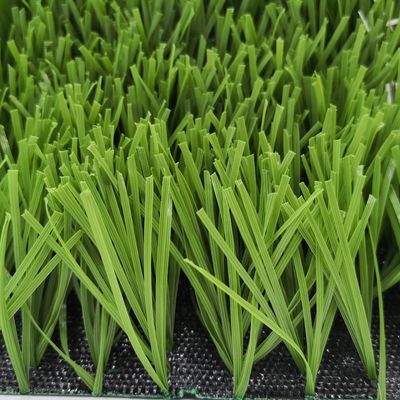 Campo da calcio di forma W Bicolore Resistente ai raggi UV Monofilamento PE erba artificiale