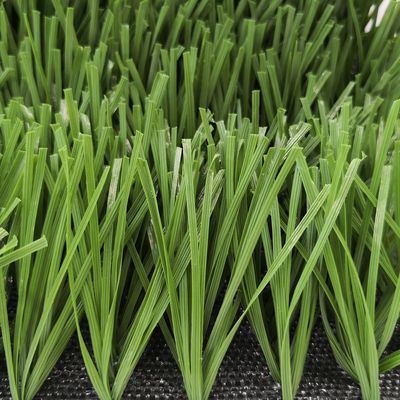 Campo da calcio di forma W Bicolore Resistente ai raggi UV Monofilamento PE erba artificiale