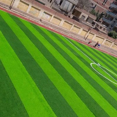 Campo da calcio di forma W Bicolore Resistente ai raggi UV Monofilamento PE erba artificiale