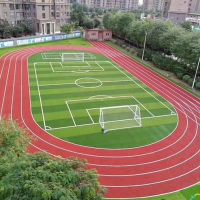 Campo da calcio di forma W Bicolore Resistente ai raggi UV Monofilamento PE erba artificiale