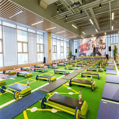 Campo da cricket 50 mm erba artificiale per il futsal palestra fitness calcio stadio di calcio
