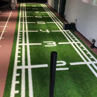 Sport Altri paesaggi con prato artificiale per il golf Campo di calcio palestra erba sintetica