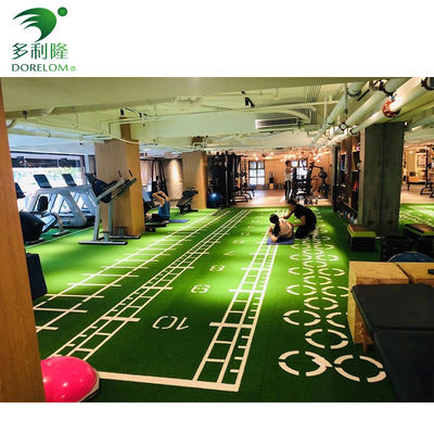Pianta artificiale in monofilamenti di PE verde per palestra pavimenti fitness in asilo sportivo