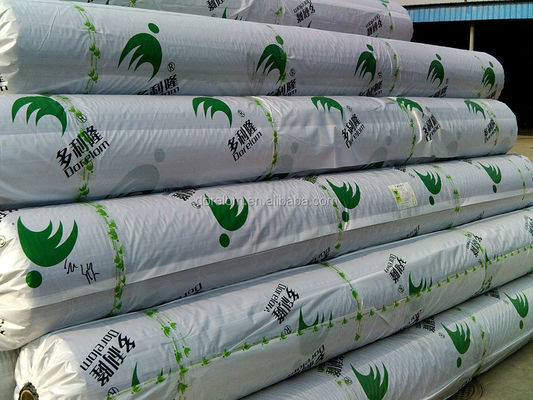 Include il prato verde certificato SGS, mini campo da golf, erba artificiale