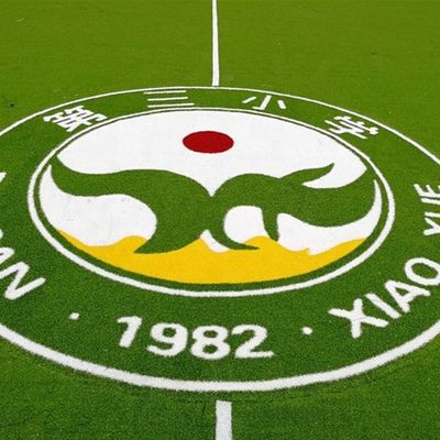 PE PP con supporto di erba artificiale Logo di colore di colore di erba sintetica Mini tappeto da calcio