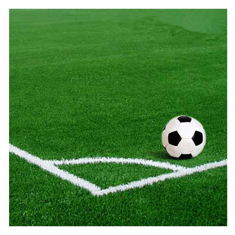 30mm 50mm 55mm 60mm Green Artificial Turf Grass Carpet Per il campo da calcio