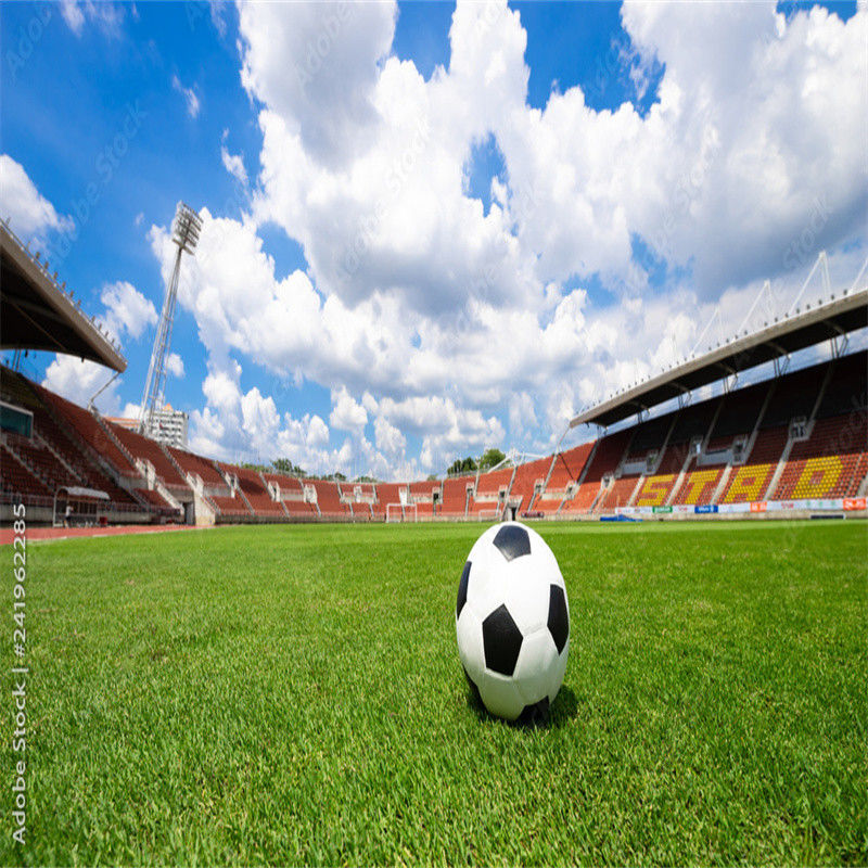 PE Mini campo da calcio verde Campo da calcio in erba artificiale per pavimenti di campi da calcio